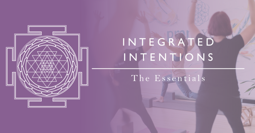 Integrated Intentions Cover photo