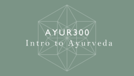 AYUR300