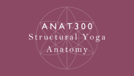 ANAT300 Thumbnail