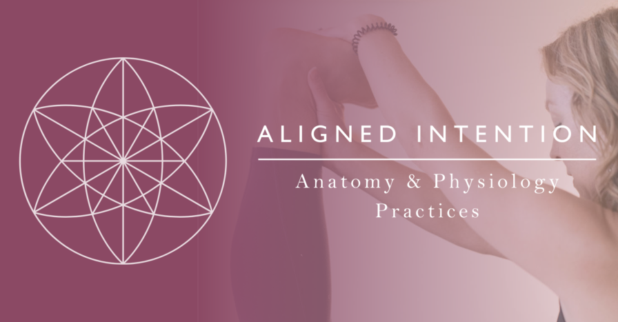 Aligned Intention Cover