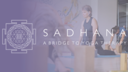 Sadhana 1
