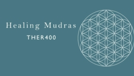 Sattva Restore ASAN400 2