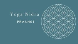 Sattva Restore ASAN400 3